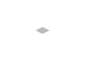 Austins_Logo_White